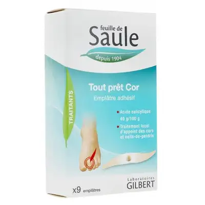 FEUILLE DE SAULE Tout Prêt Cor Emplâtre Adhésif (x 9)