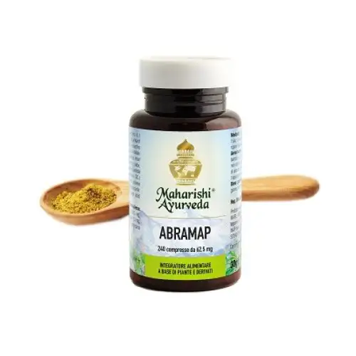 Abramap 240cpr