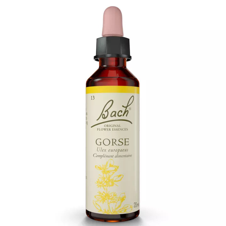 Fleurs de Bach Ajonc Original GORSE 20ml