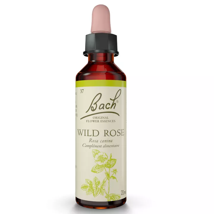 Fleurs de Bach Églantine 20ml Original Wild Rose