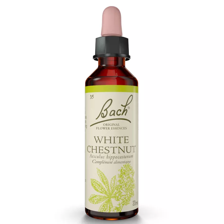 Fleurs de Bach Marronnier d'Inde 20ml Original White Chestnut
