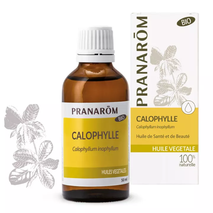 Huile végétale Calophylle Bio (Tamanu) Pranarom