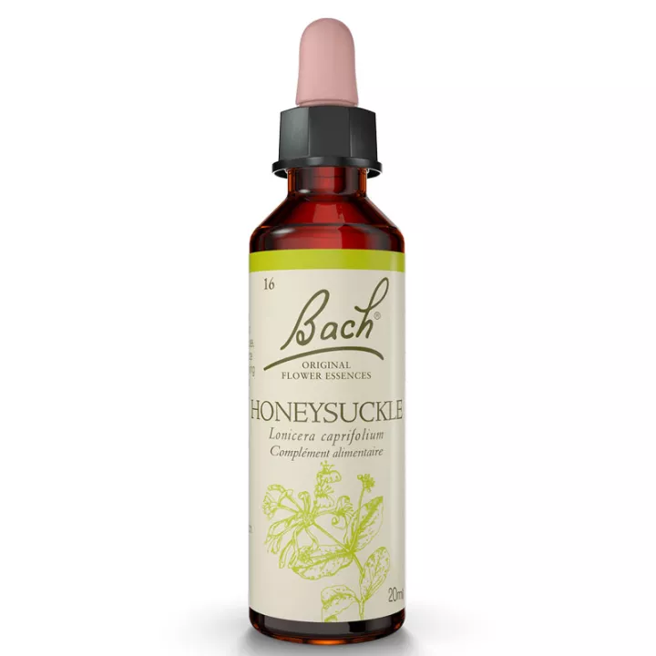 Fleurs de Bach Chèvrefeuille Original Honeysuckle 20ml