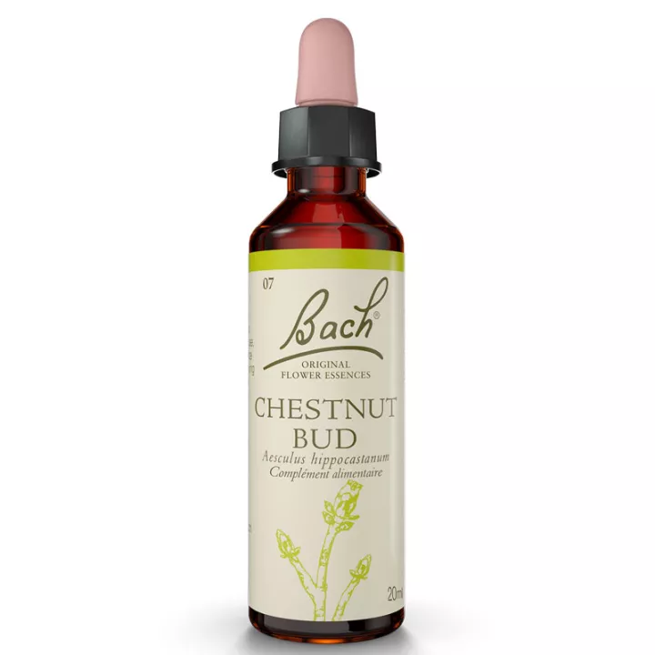 Fleurs de Bach Bourgeon de Marronnier 20ml Original Chestnut bud d'Inde