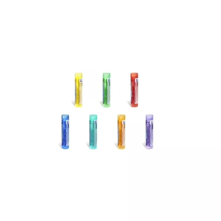 DHA-S 4CH 5CH 7CH 9CH 15CH 30CH 8DH Granules Boiron Homéopathie