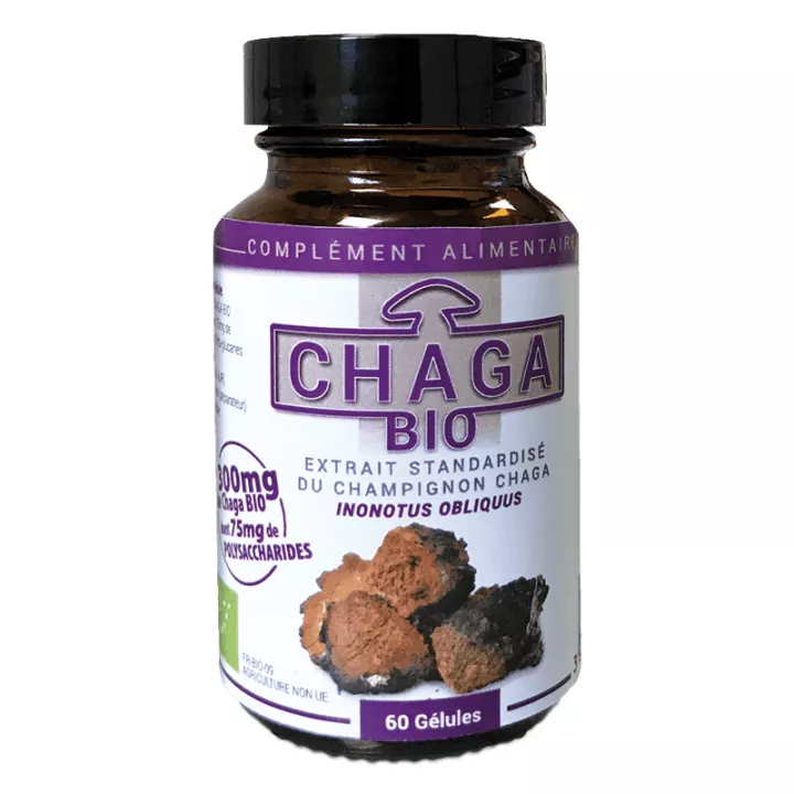 Dr Theiss Chaga Bio 60 gélules