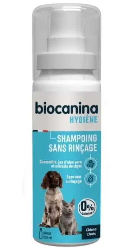 Shampoing Mousse Sans Rinçage 100 ml