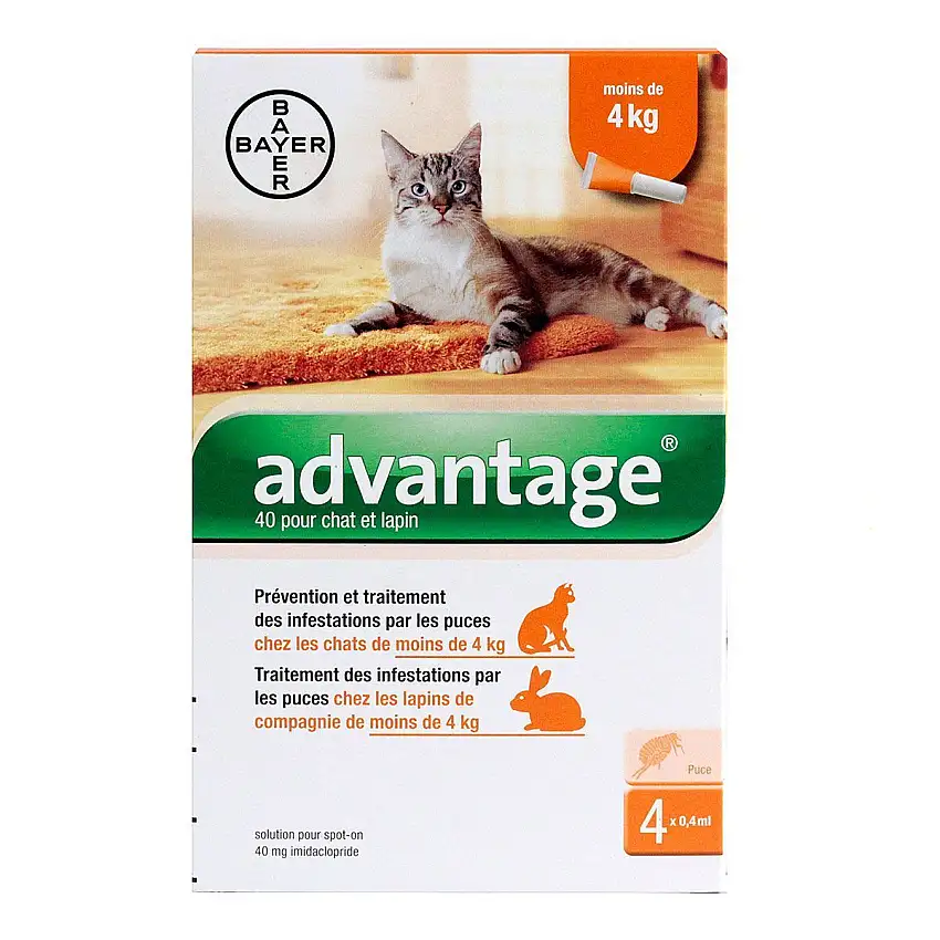 Advantage 40 Chat/Lapin Pipette x4