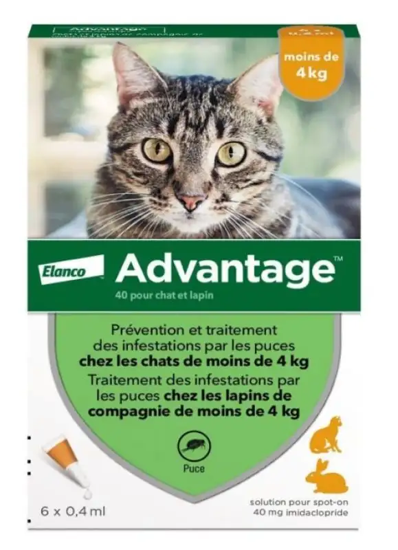 Advantage chats & lapins -4kg 6 pipettes