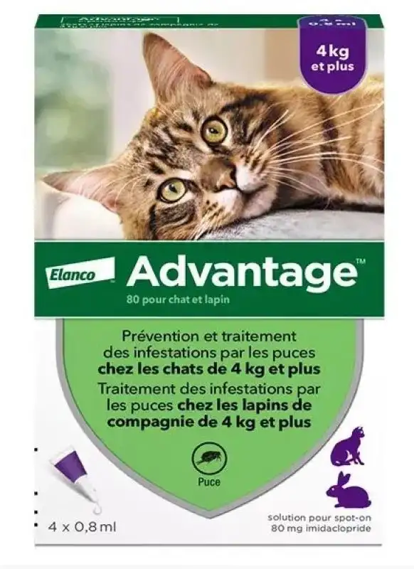 Advantage chats & lapins +4kg 4 pipettes