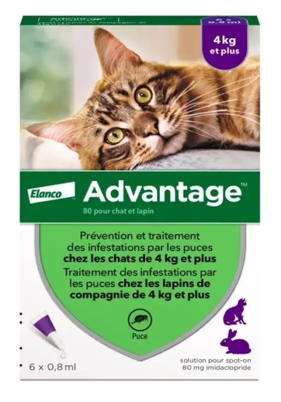 Advantage chats & lapins +4kg 6 pipettes