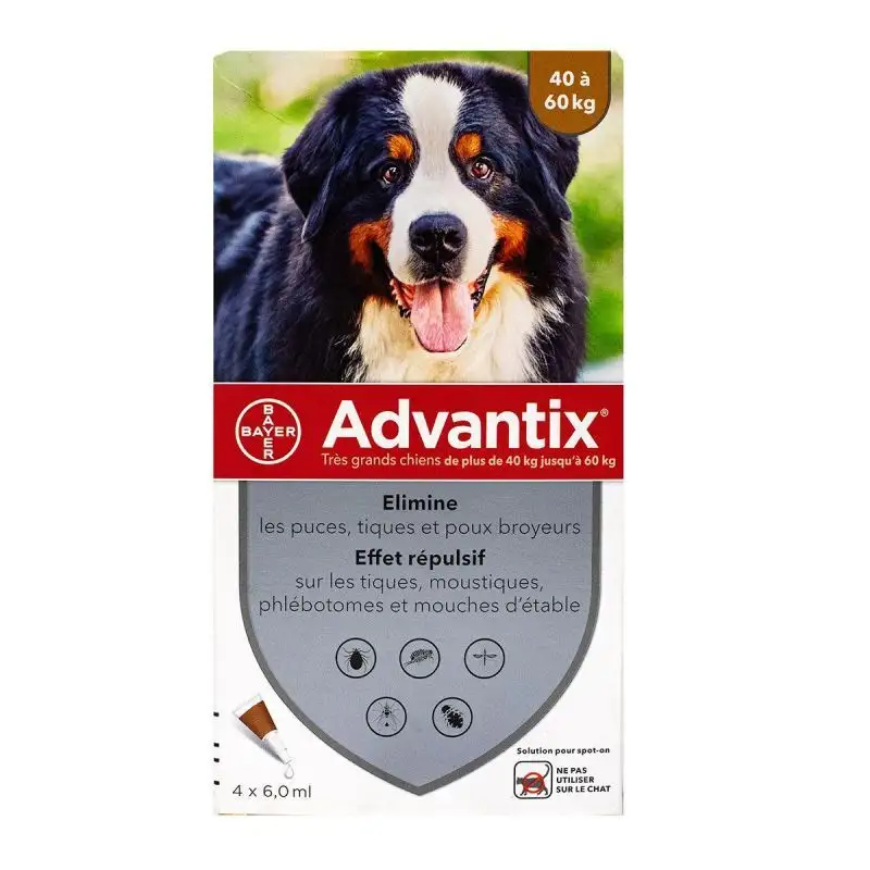 Advantix Très grand chien +40 kg 4 pipettes