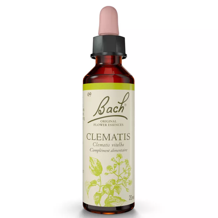 Fleurs de Bach Clématite 20ml Original Clematis