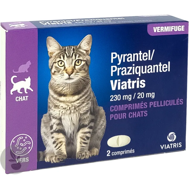 Pyrantel / Praziquantel Viatris Vermifuge Chat 2 comprimés