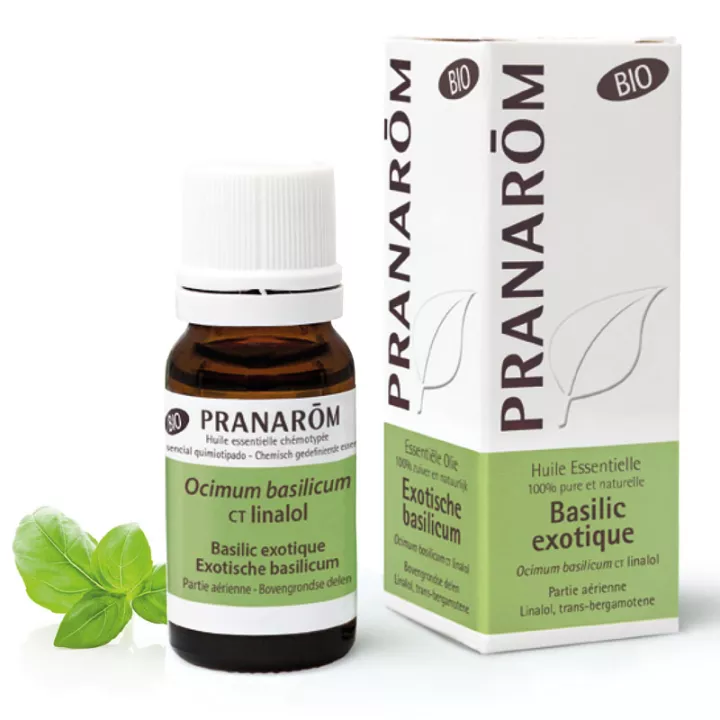 Huile essentielle Bio Basilic exotique Pranarom 10ml