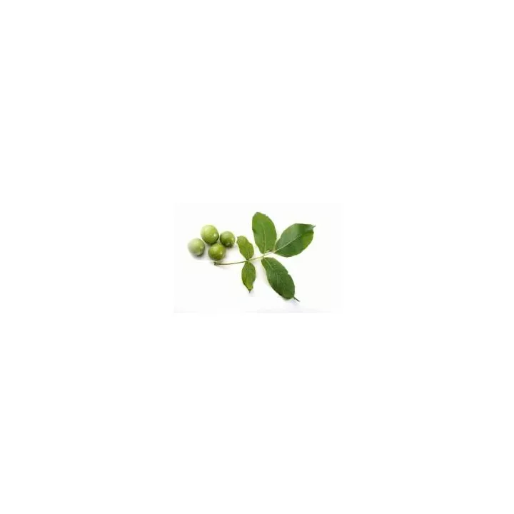 EPS Noyer Pileje extrait liquide de feuilles
