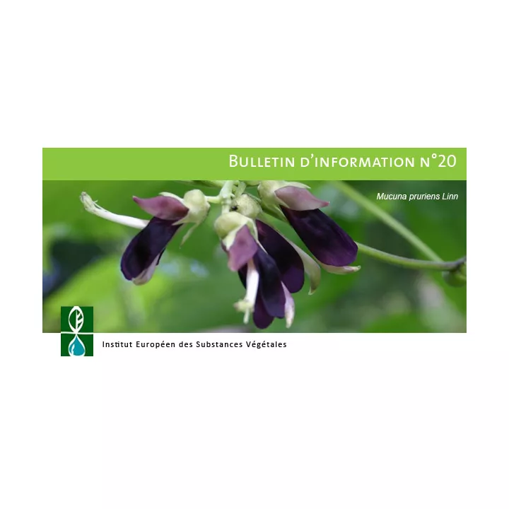 EPS Mucuna Pileje Extrait Fluide de Graines