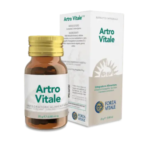 Force de Vie Artro Vitale 25g