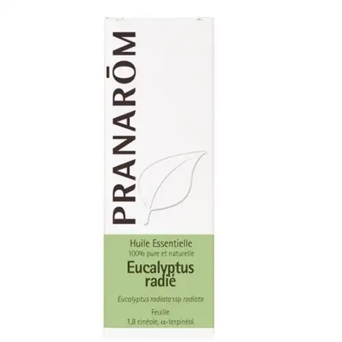 EUCALYPTUS RADIE - Pranarom Huile Essentielle (Eucalyptus radiata ssp radiata) - Flacon 10ml