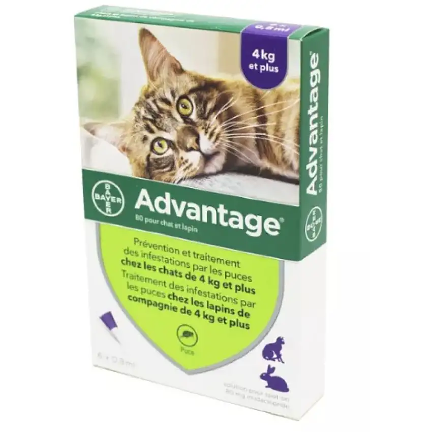 Elanco - Advantage chat et lapins 4kg+ - 6 pipettes