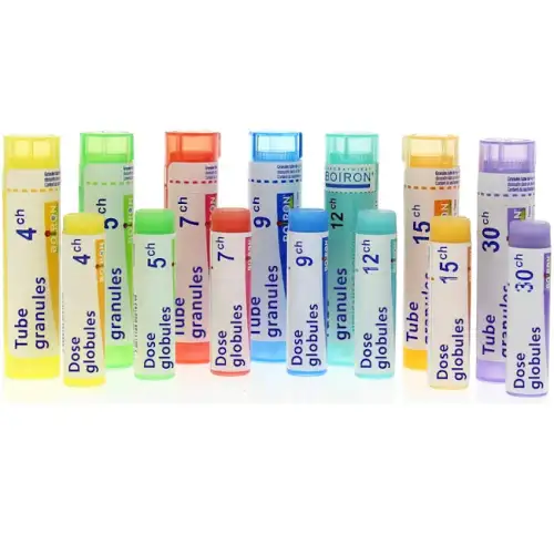 Boiron FSH 15ch Remède Homéopathique En Globules