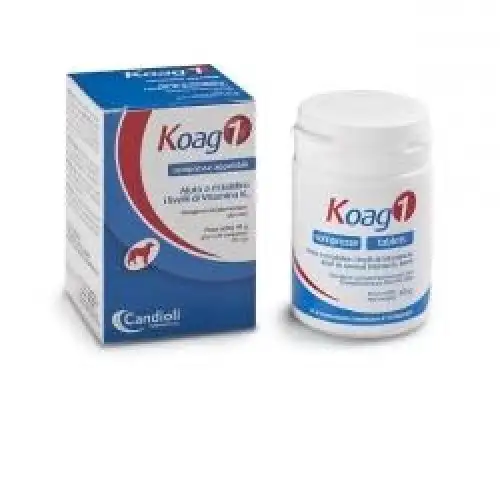 Koag 1 Candioli 20 Comprimés de 2g