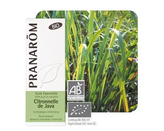 Pranarom huile essentielle Citronnelle de java bio 10 ml