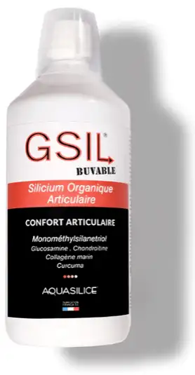 GSIL Silicium Organique Articulaire solution buvable 1L